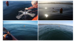 US Navy’s solar drone takes off and lands on water